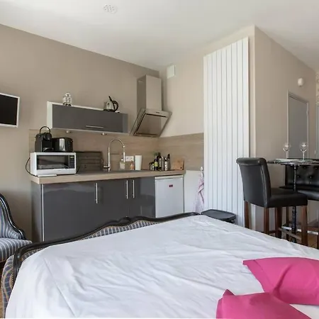 Le 31 Au Coeur Des Places Apartment